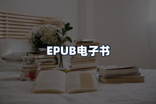 EPUB电子书